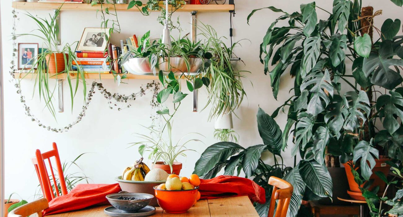 Healthy spaghetti with all different kinds of fish and vegetables