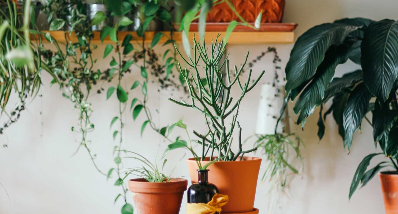 The journey of a thousand miles begins with a single step