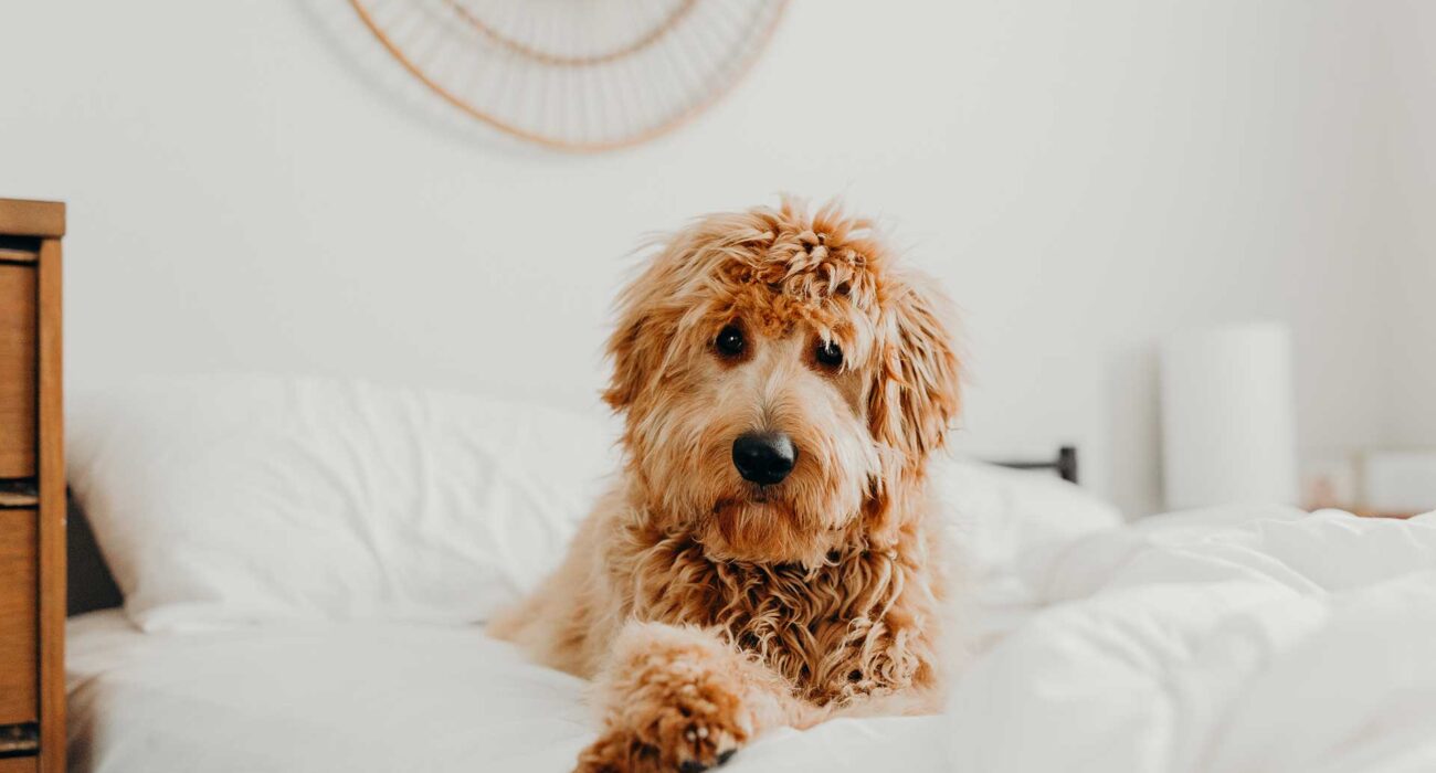 A store that sells not just outfits but a trend