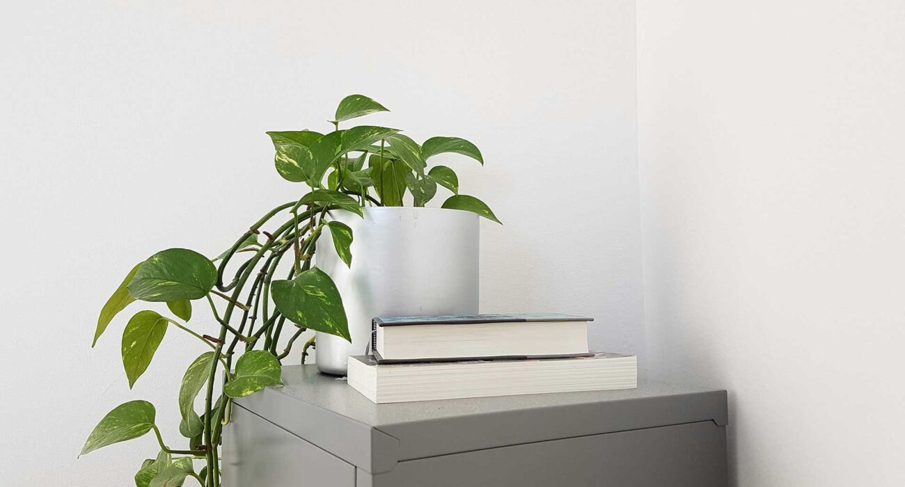 The best things in life come with patience and Love